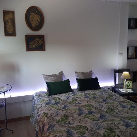 Azevinho Guest House 세이아 외부 사진