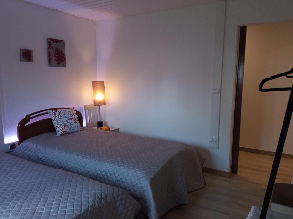 Azevinho Guest House 세이아 외부 사진