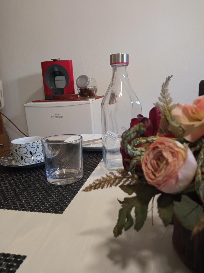 Azevinho Guest House 세이아 외부 사진